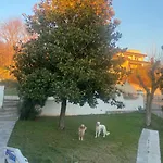 Villa Pace, Luminosita E Comodita A Due Passi Dal Garda Volta Mantovana