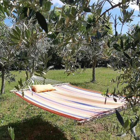 Pace, Luminosità E Comodità A Due Passi Dal Garda