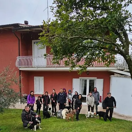 Pace, Luminosita E Comodita A Due Passi Dal Garda Villa Volta Mantovana