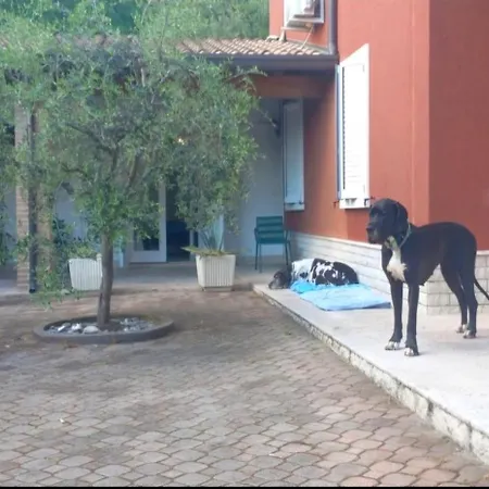 Villa Pace, Luminosita E Comodita A Due Passi Dal Garda