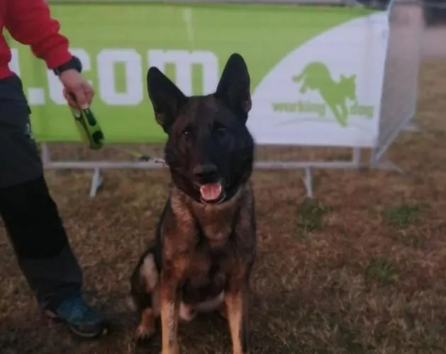 Pace, Luminosita E Comodita A Due Passi Dal Garda Βίλα