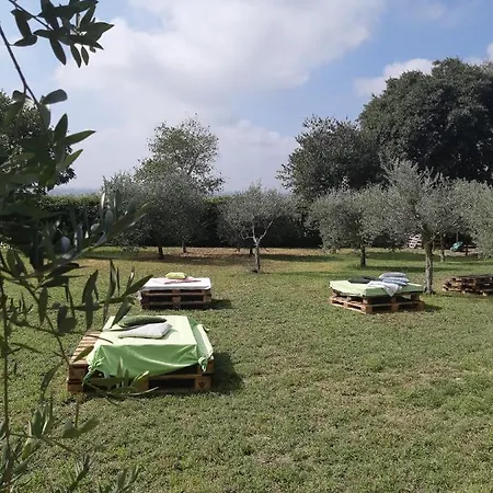 Pace, Luminosita E Comodita A Due Passi Dal Garda Volta Mantovana